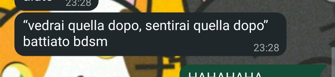 franco 🐀 tweet media