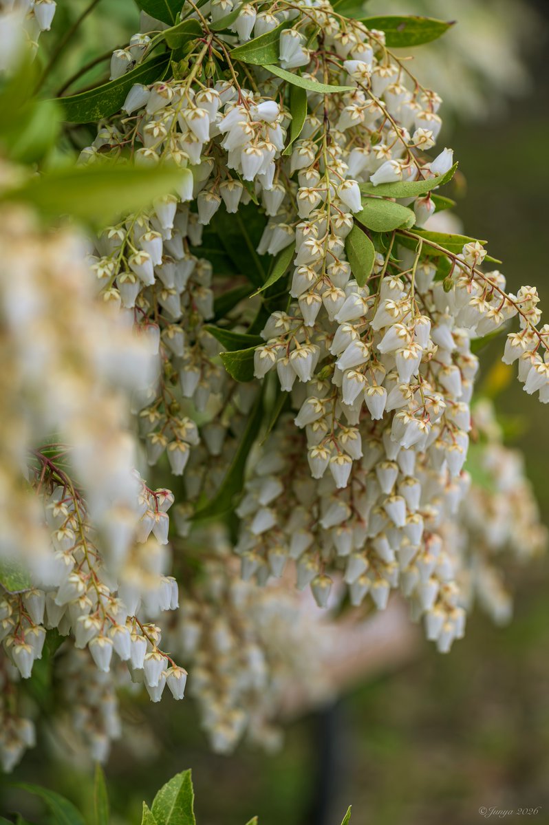 じゅんや⋆⸜︎✈︎⸝⋆ tweet media