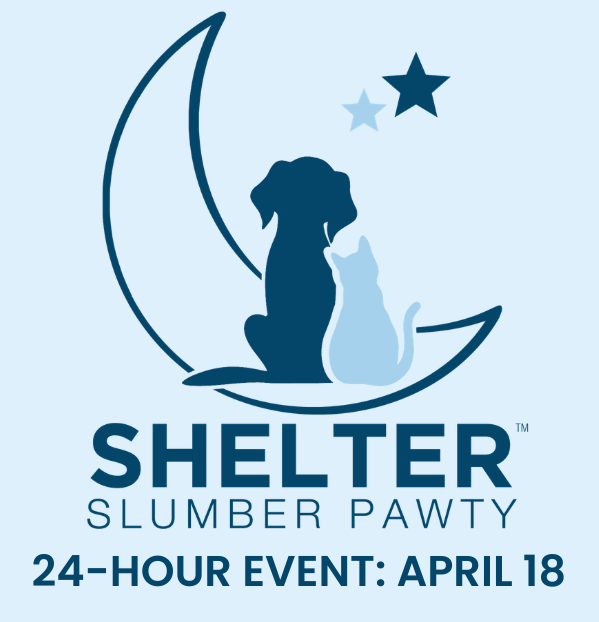 WhatcomHumane's tweet photo. Have you heard the BIG news?
Whatcom Humane Society is participating in the 24-hour Shelter Slumber Pawty FUNdraiser April 18th - 19th.
https://t.co/ugXDQUQHpC
For more info, visit: https://t.co/ws18xXTjCB https://t.co/EPmO0oTGFX