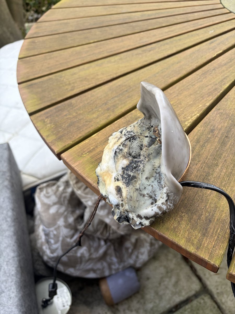 ShirleyCh 🧡🧡🧡 tweet media