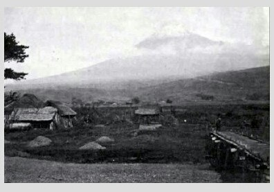 늬들이하니까나도함 tweet media