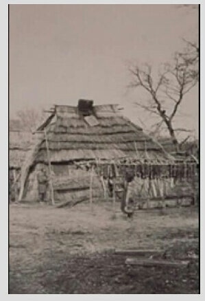 늬들이하니까나도함 tweet media