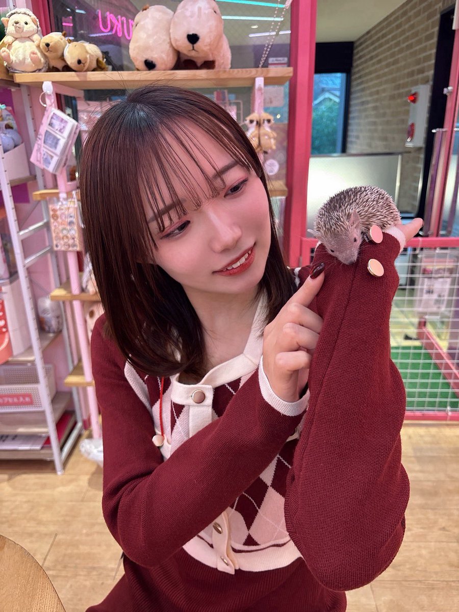 岡本麻妃呂🐈🤍 tweet media