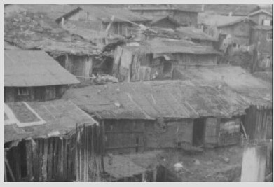 늬들이하니까나도함 tweet media