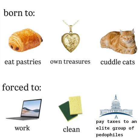 SpaceCatMemes👾 tweet media