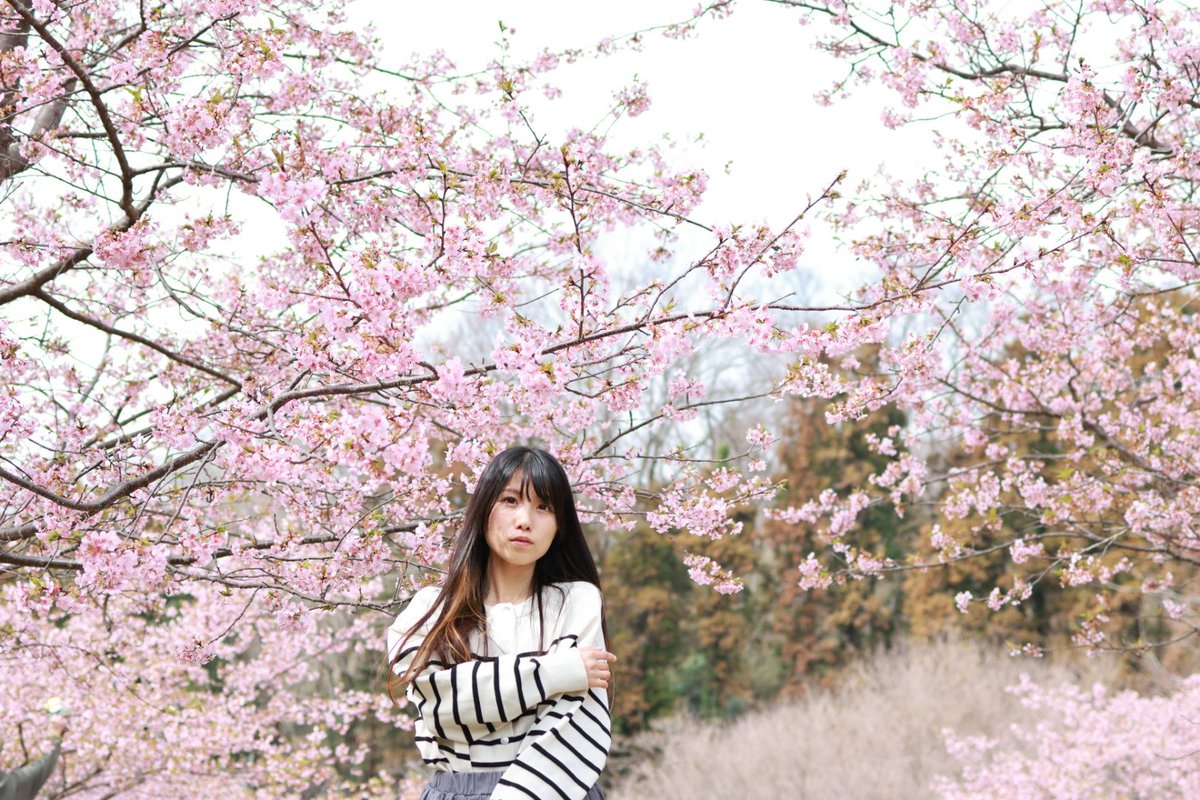 たぁふ　5/9～5/10D1GPrd1rd2愛知スカイエキスポ tweet media