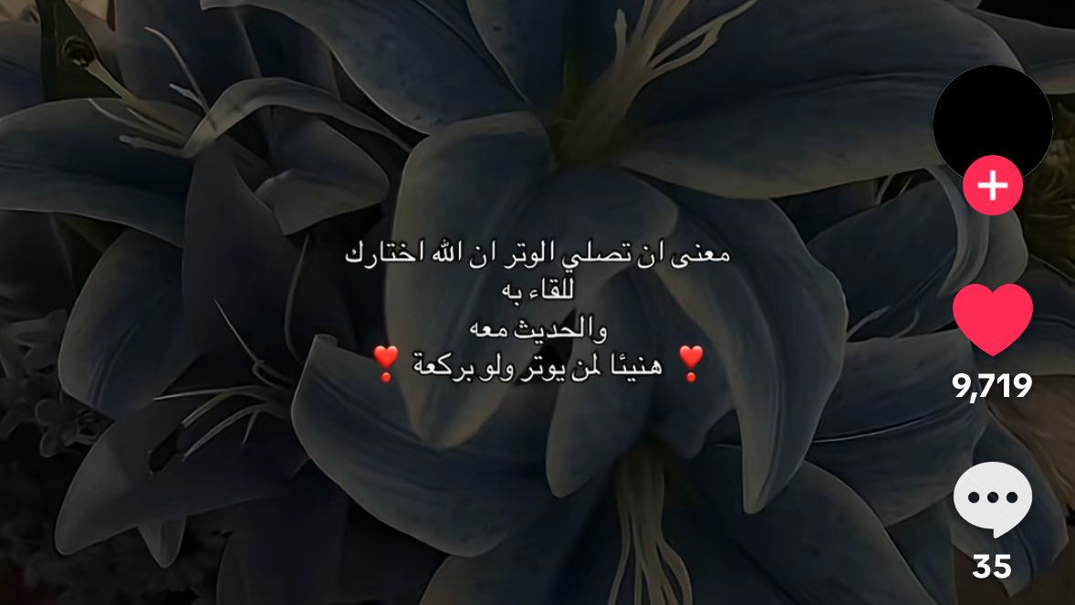 لا تنسون صلاة الوتر ..