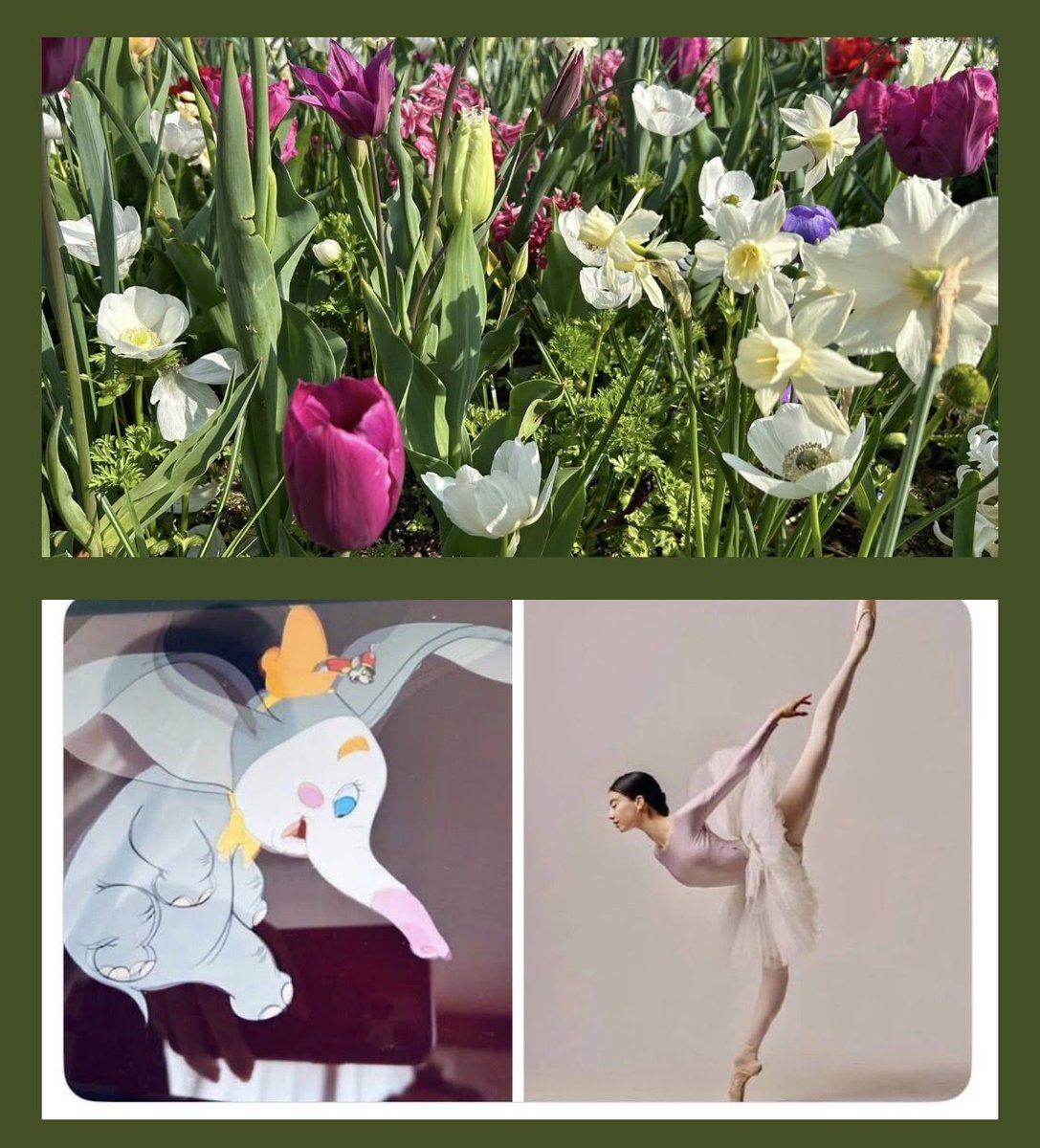 リトルベアーズ tweet media