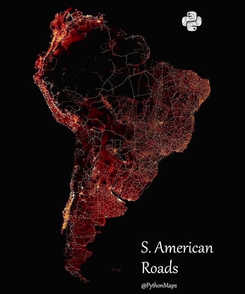 BowTiedMara tweet media