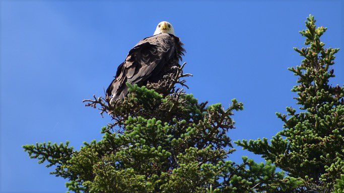 💚Force of Nature💚 tweet media