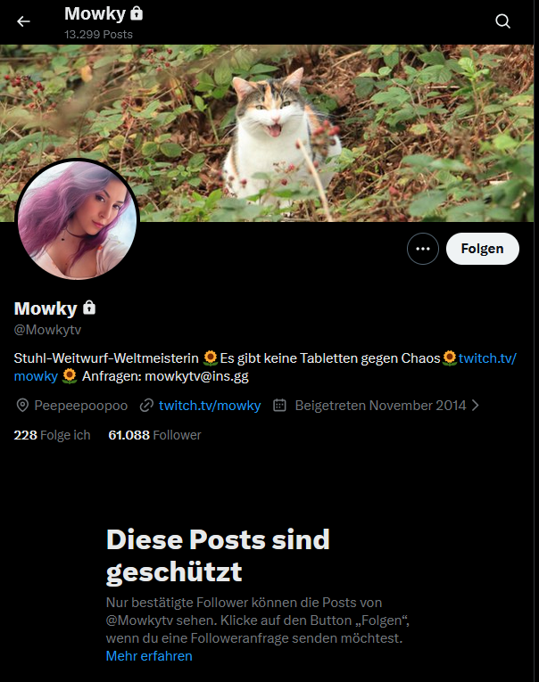 Sashenka tweet media