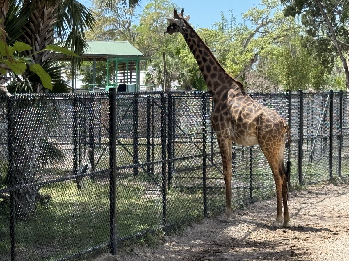 Jeremy London tweet media