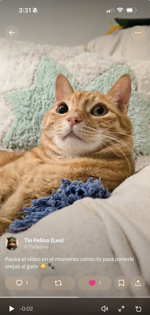 Ulises G tweet media