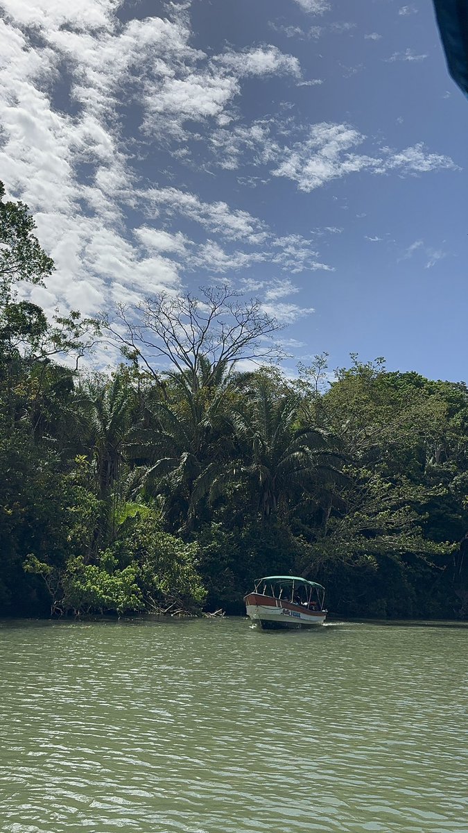 roobz 🌙 🌸 tweet media