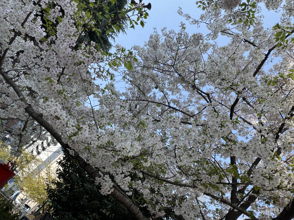 【会員制kazamidori】新橋駅から2分！ご新規、お一人様大歓迎！素敵なお客様多し tweet media