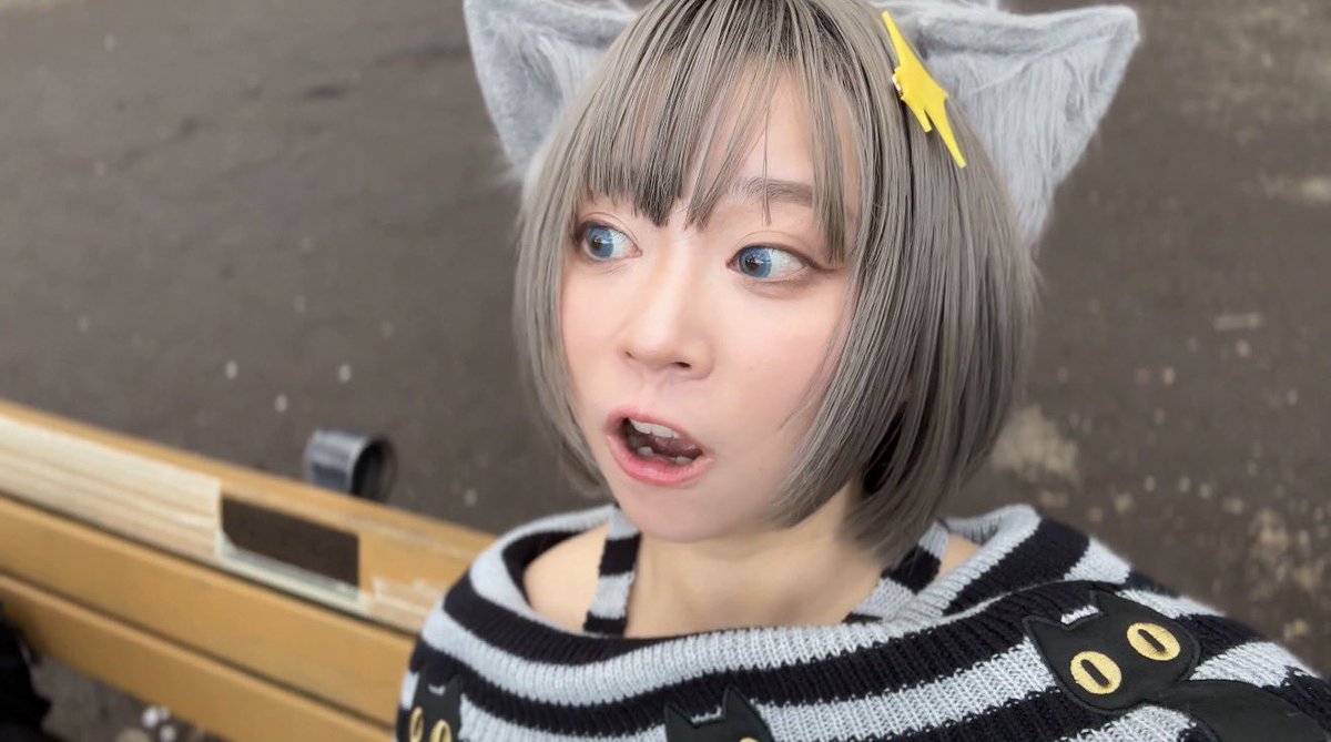 ドブカスンスン tweet media