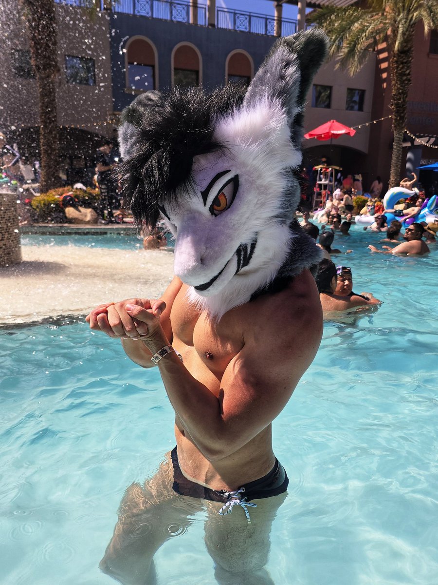 ᴡɪɴᴛᴇʀ ᴅɪꜱᴄɪᴘʟᴇ 🔜 FWA tweet media