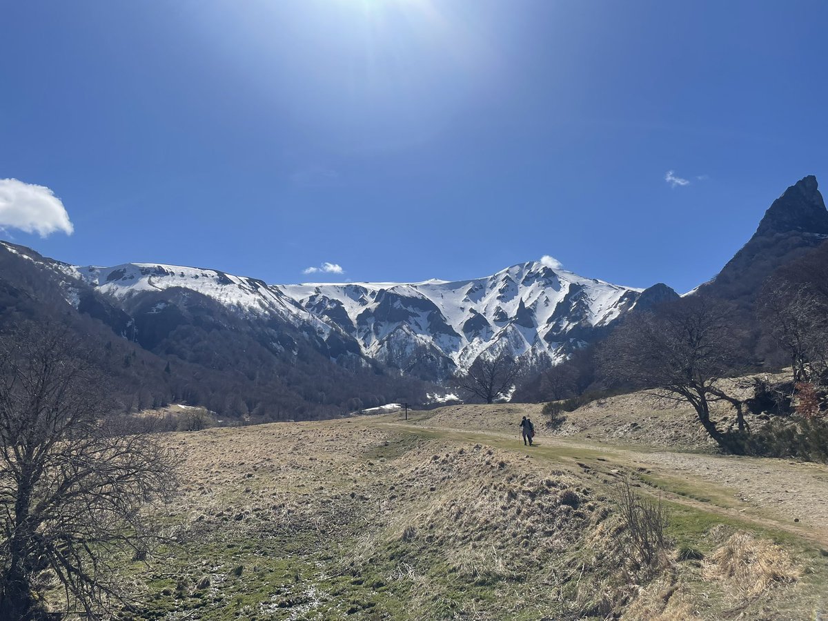 sakuragi cheveux courts tweet media