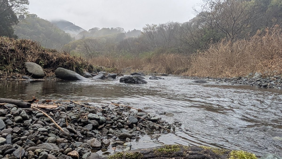 こうσ(´･ω･`)？ tweet media