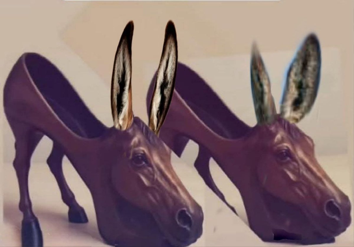 🇧🇷 ENFIA O L NO SEU KÚ 🇧🇷 tweet media