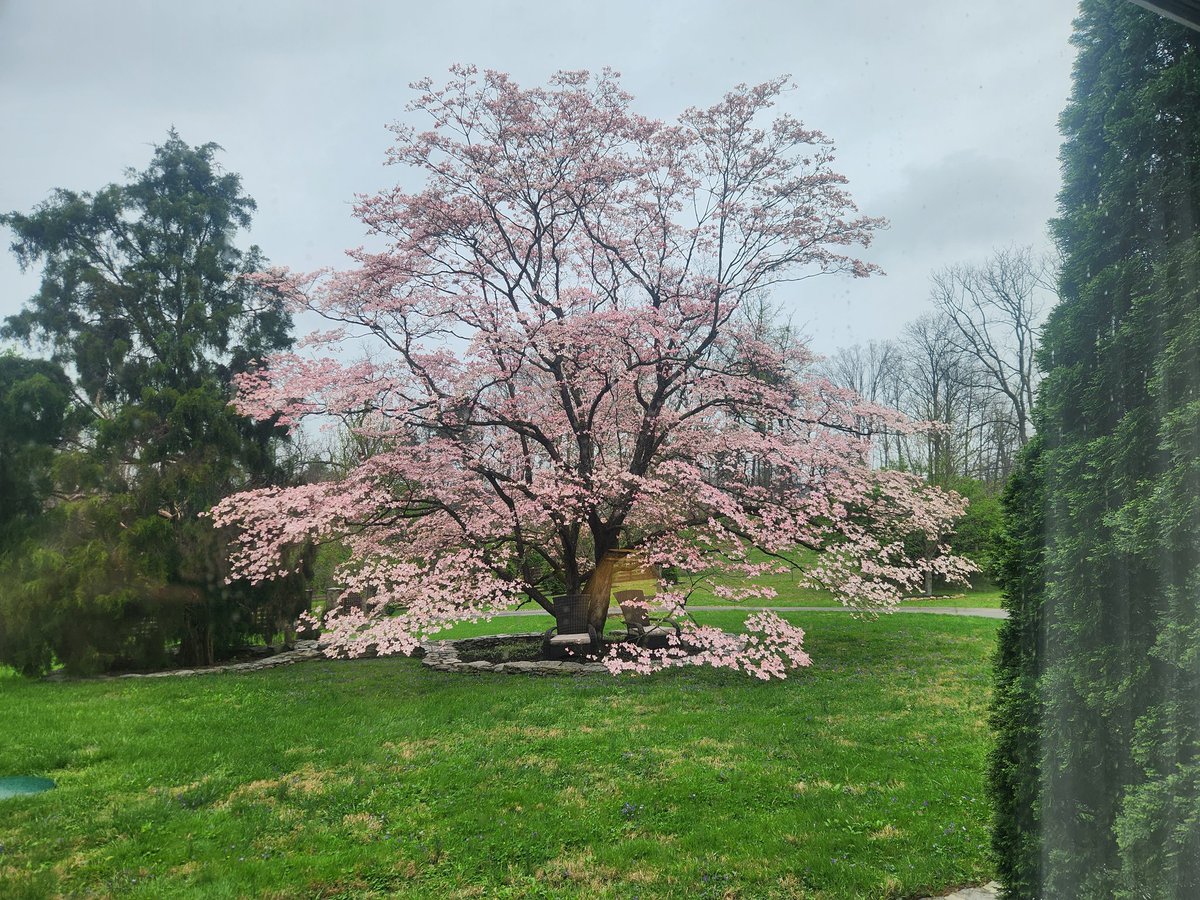 Mrs.Corny tweet media