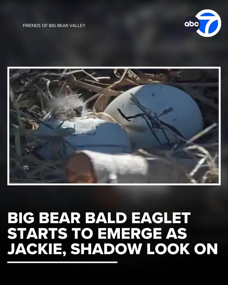 ABC7 Eyewitness News tweet media