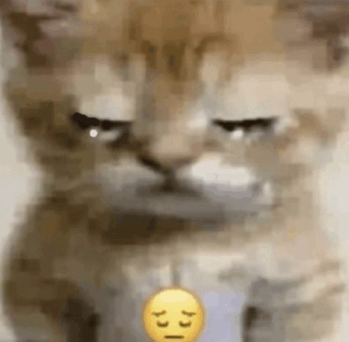 MARK 🥺🥺🥺🥺🥺🥺🥺🥺