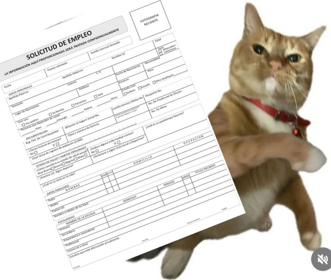 <a href="/CrisArevalop/">Cristián Arévalo</a> <a href="/biobio/">BioBioChile</a> a ver si corren si les tiras un c.v