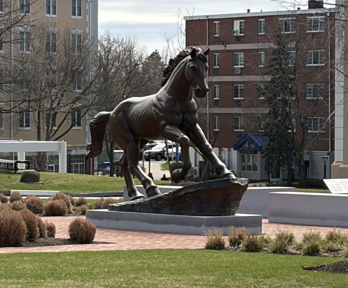 Braden Sullivan tweet media