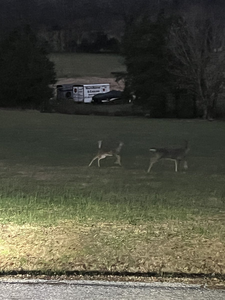 The King of Tennessee tweet media