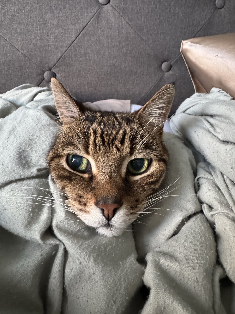 AdamnicSchaffer's tweet photo. My little buddy, made it 20 years and really ripped it up. I’ll miss you so much Leanid!! ❤️ https://t.co/23Z01QWBIJ
