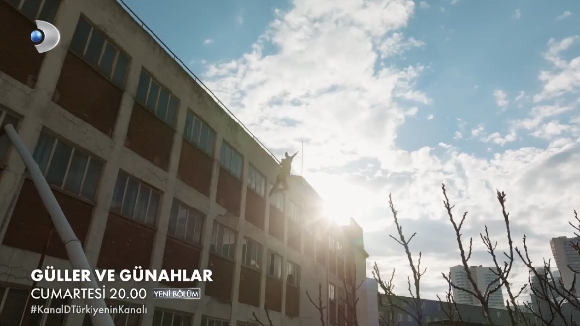 esenia kost tweet media