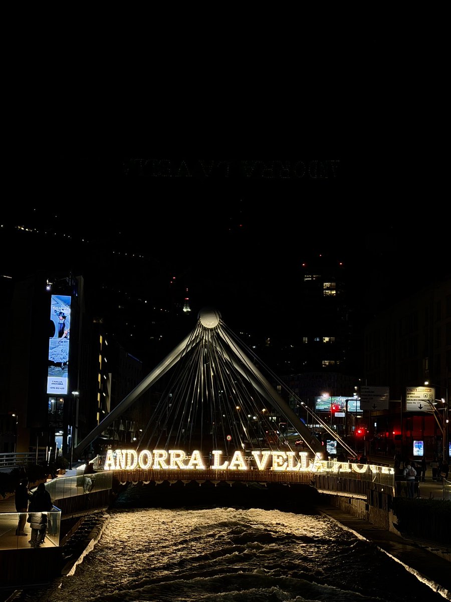 The Wolf Jr 🐺 tweet media