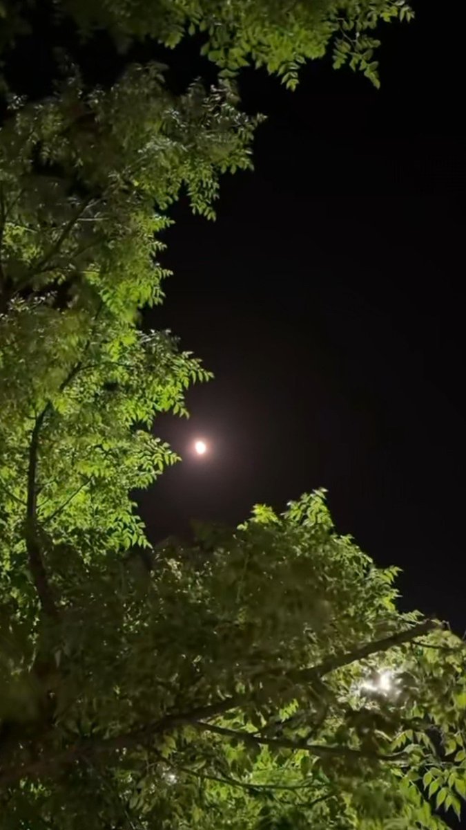 ‏دانــོـــهۧۂ ..👑 tweet media