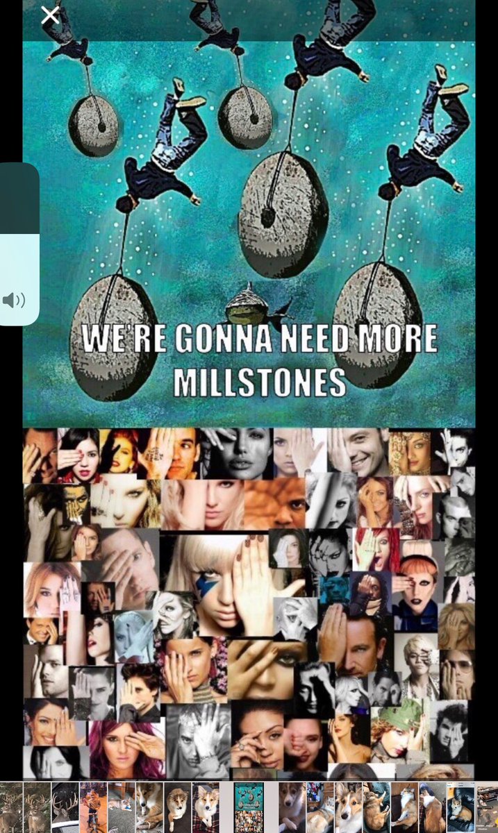 steve rehberg tweet media