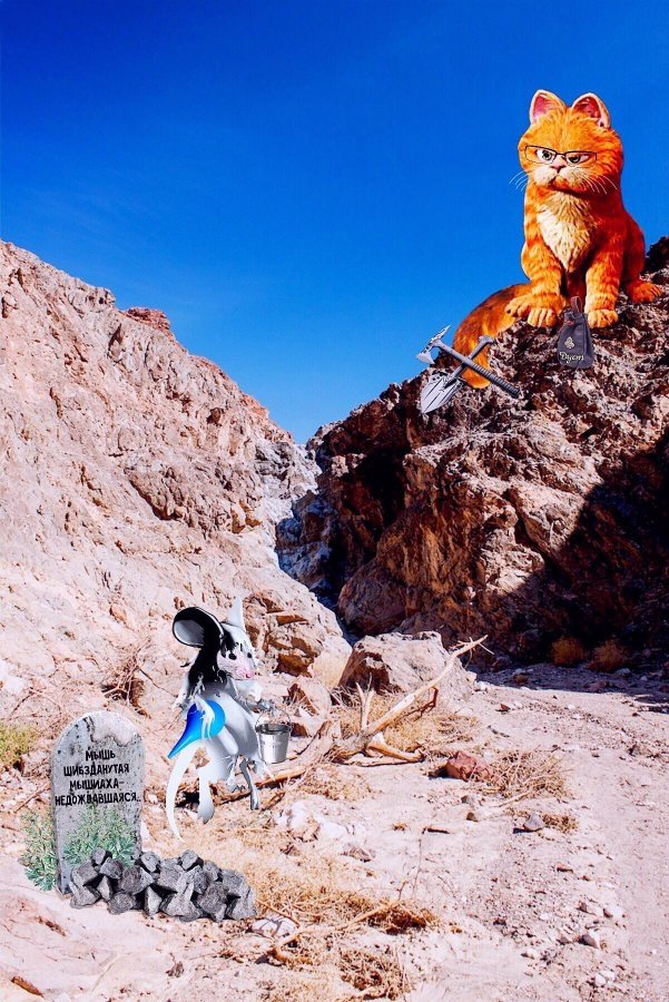 Зорра Виталя tweet media