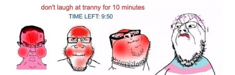 el pepe 240 tweet media