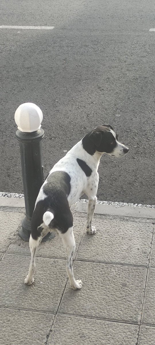 Møre • • tweet media