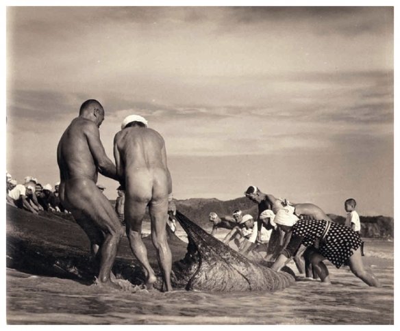 늬들이하니까나도함 tweet media