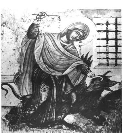 THE ORTHOCHAT tweet media