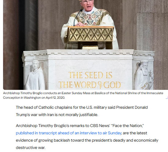 ⏳Towhee 🌏☮️ tweet media