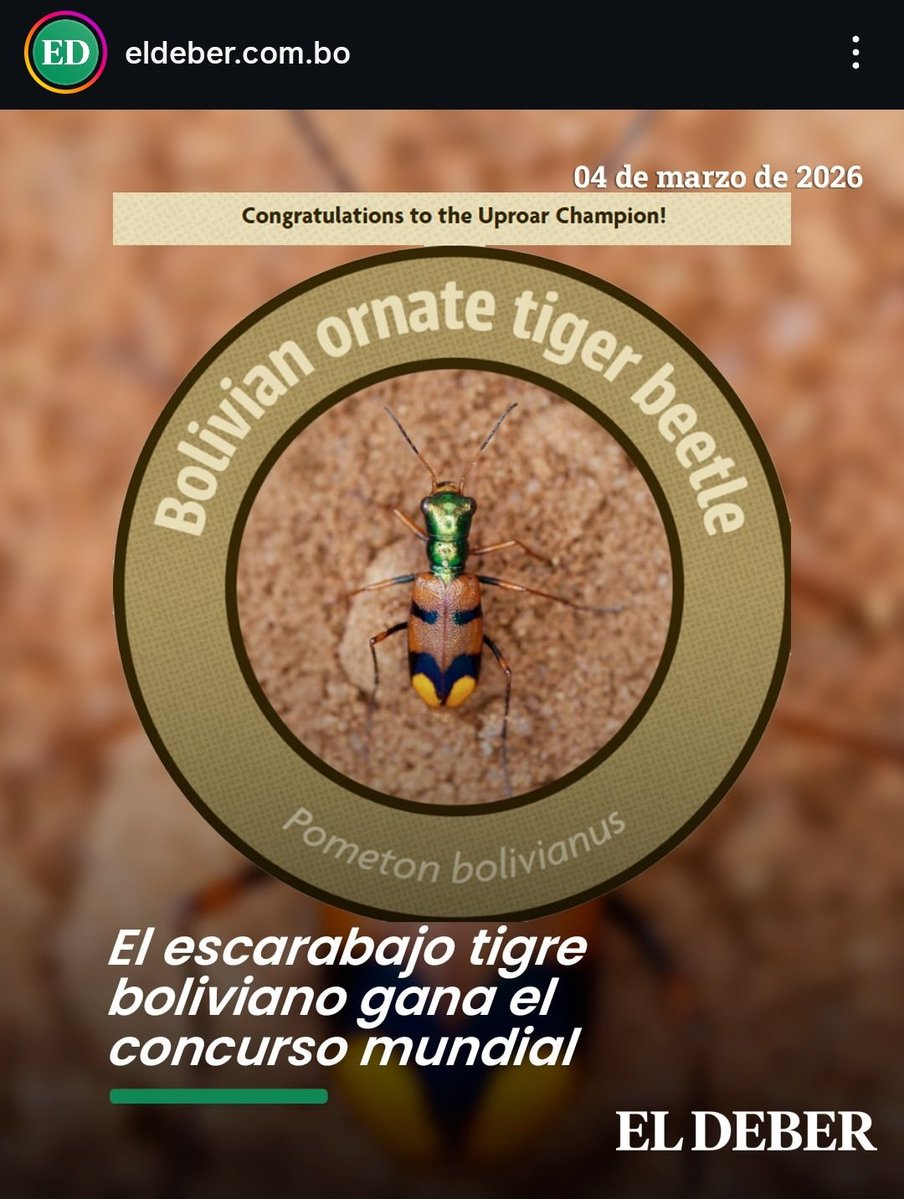 Cómo que no somos campeones en nada? La tenés adentro veneco chupa pichi.