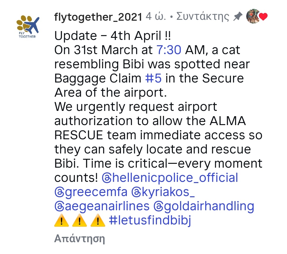 lily ant tweet media