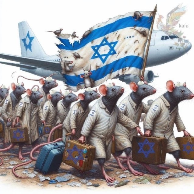 Зорра Виталя tweet media