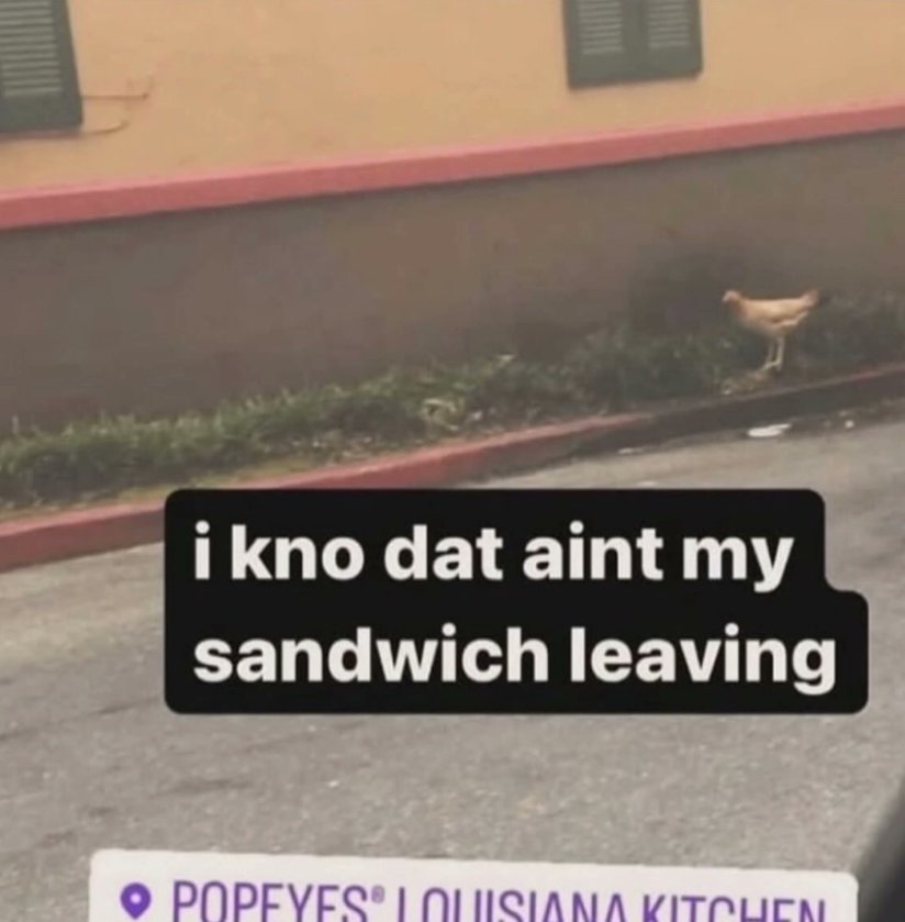 brainrot dimension tweet media