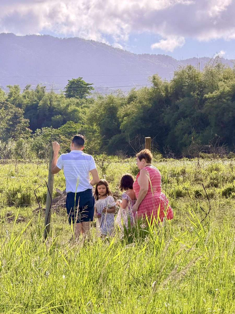 Pedro Julio Serrano tweet media