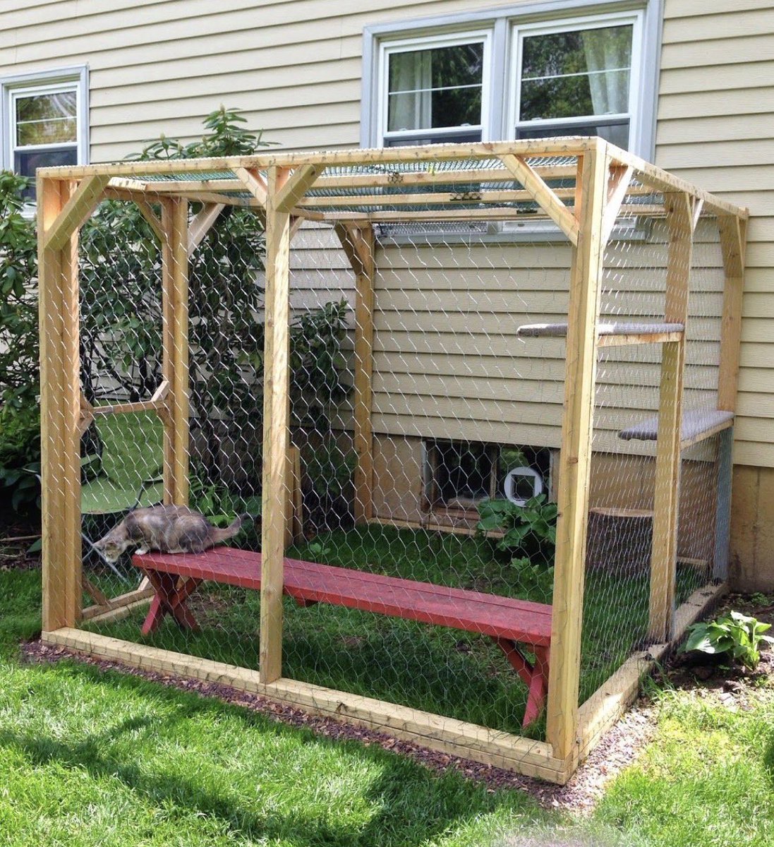 та, шо з села tweet media