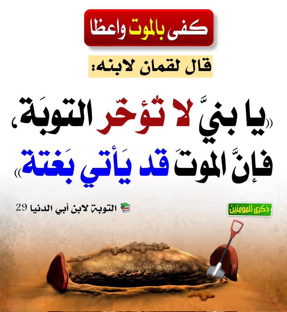 الصقر العربي الجزائري tweet media