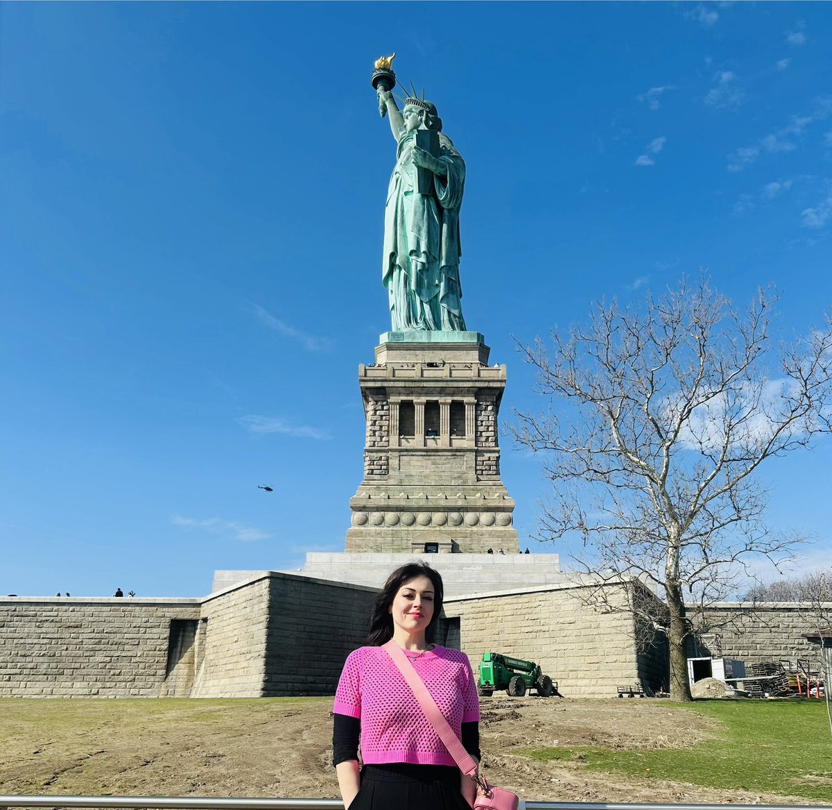 swannface tweet media