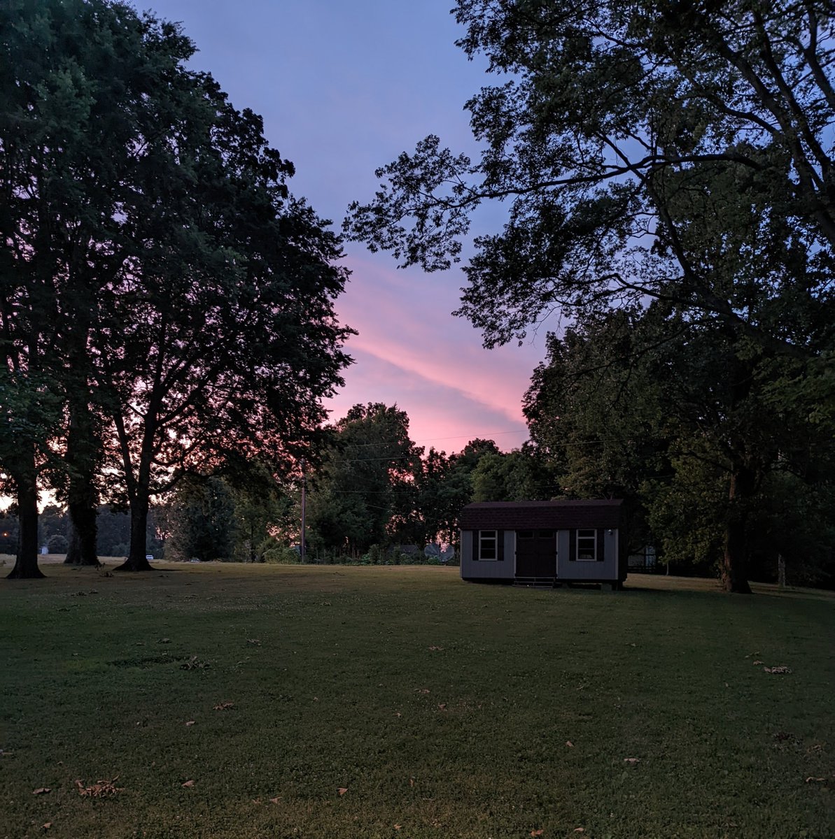 The IDP Show tweet media